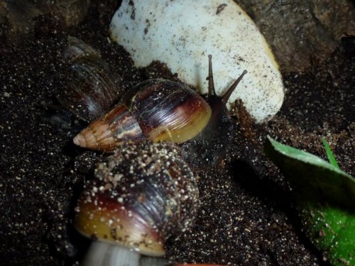 K800_ordner12 067.JPG