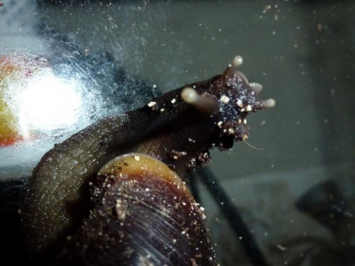 K800_ordner12 068.JPG