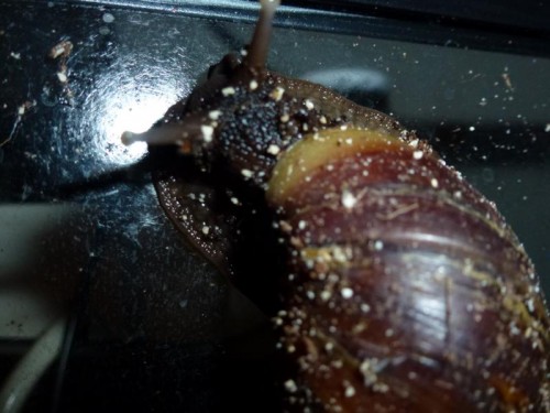 K800_ordner12 069.JPG