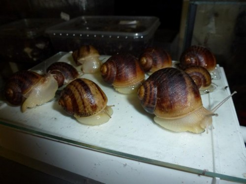 K800_ordner12 080.JPG