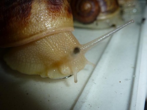 K800_ordner12 083.JPG