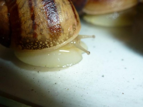 K800_ordner12 084.JPG