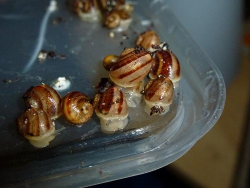 K800_ordner12 072.JPG