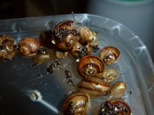 K800_ordner12 073.JPG