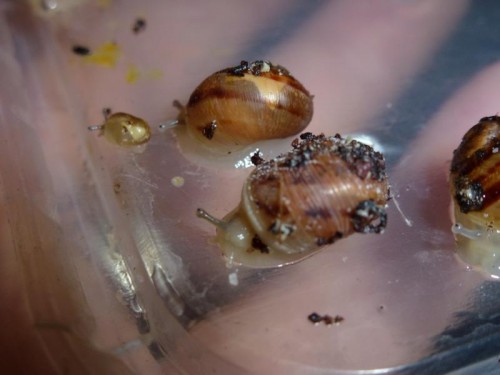 K800_ordner12 074.JPG