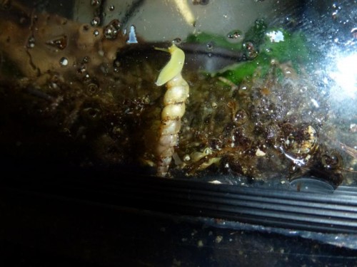 K800_ordner12 092.JPG