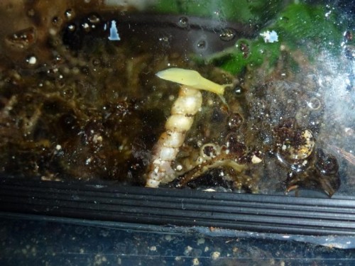 K800_ordner12 095.JPG