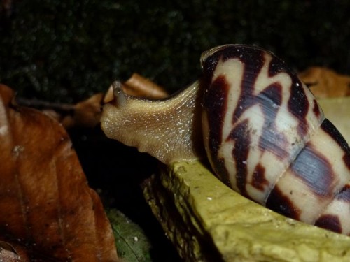 K800_ordner12 100.JPG