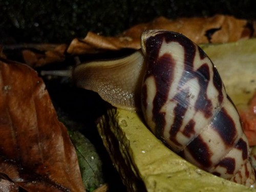 K800_ordner12 104.JPG