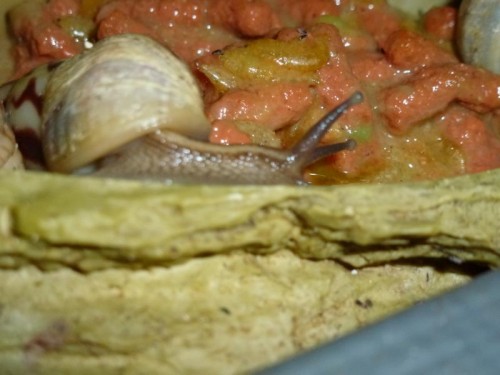 K800_ordner12 103.JPG