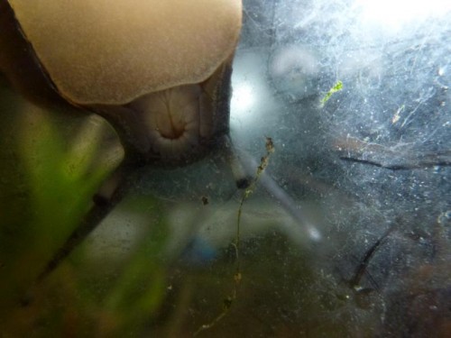 K800_ordner12 105.JPG