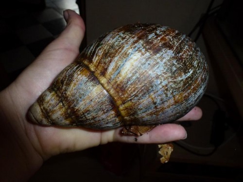 K800_ordner12 115.JPG