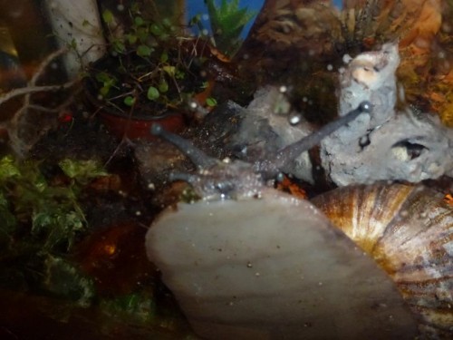 K800_ordner12 116.JPG