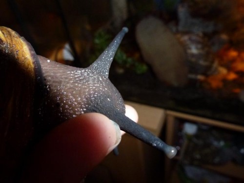 K800_ordner12 117.JPG