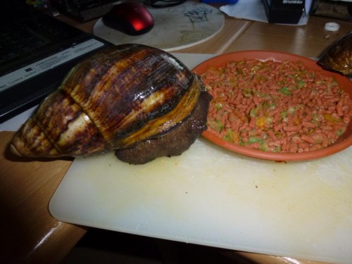 K800_ordner12 118.JPG