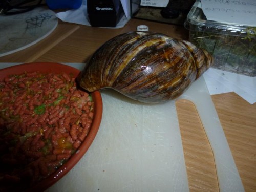 K800_ordner12 119.JPG