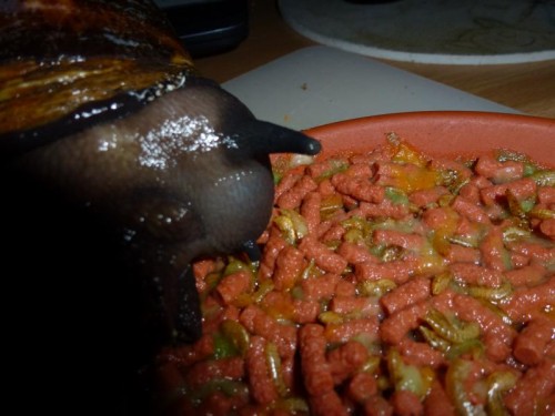 K800_ordner12 120.JPG