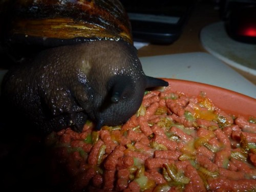 K800_ordner12 121.JPG