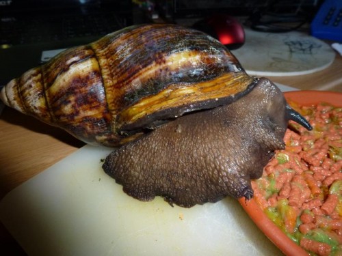 K800_ordner12 122.JPG