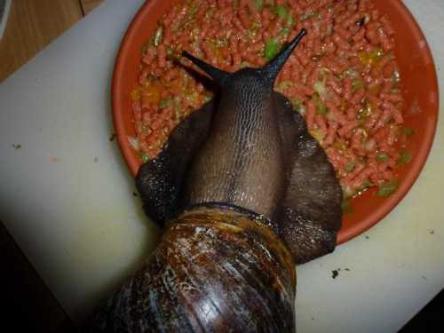 K800_ordner12 125.JPG