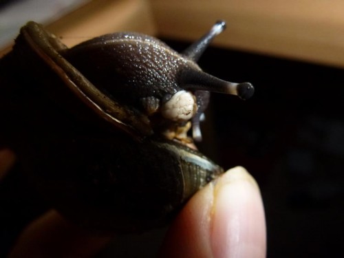 K800_ordner 13 002.JPG