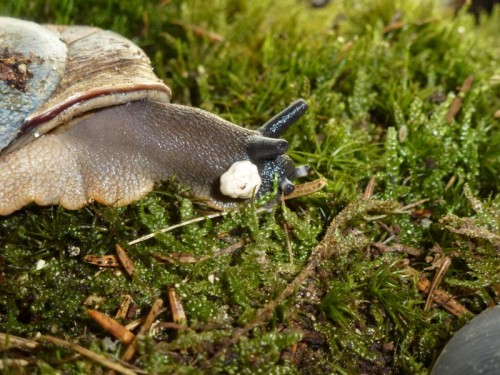 K800_ordner 13 008.JPG