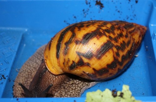 IMG_4147klein.jpg