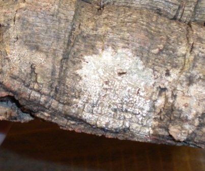 DSCN3022.jpg