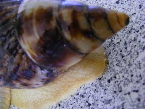 DSCF4680 [800x600].jpg