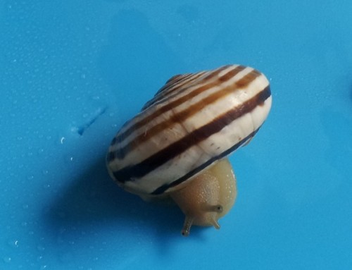 20120627_175341klein.jpg