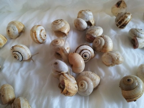20120628_081146klein.jpg