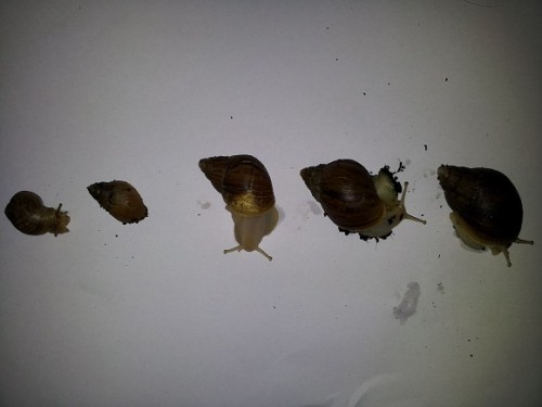 20120705_194618klein.jpg