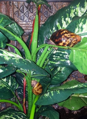 20120705_200516klein.jpg