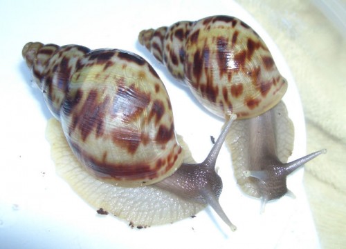 K4_27.06.05.jpg