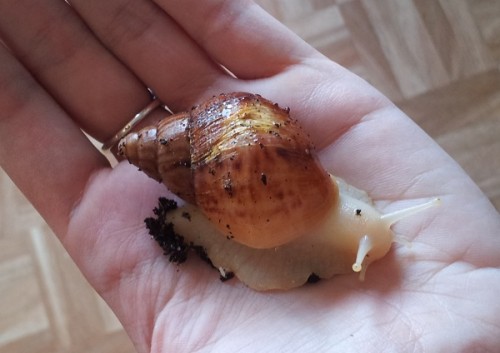 20120713_175620klein.jpg