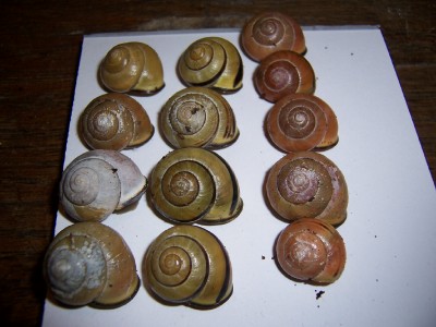 100_9397.jpg