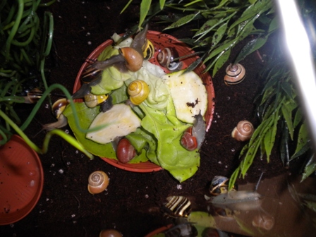 DSCN3487.JPG