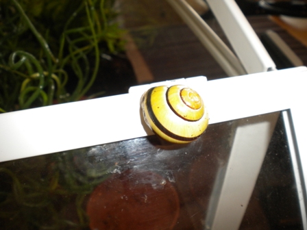 DSCN3502.JPG