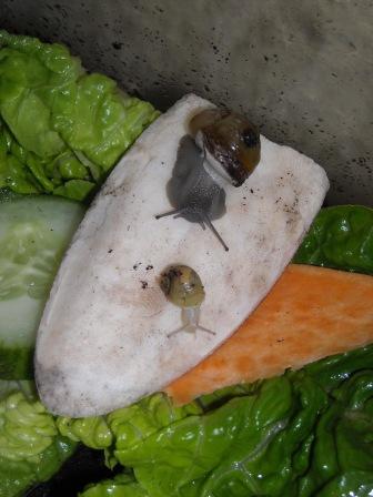 240812 011.jpg