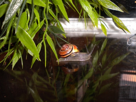 DSCN3556.JPG