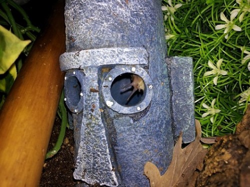 20120830_220543klein.jpg