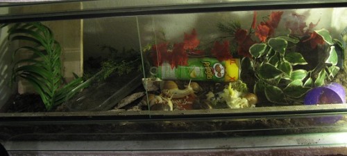 IMG_0021.JPG
