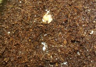 18092012676 - Kopie.jpg