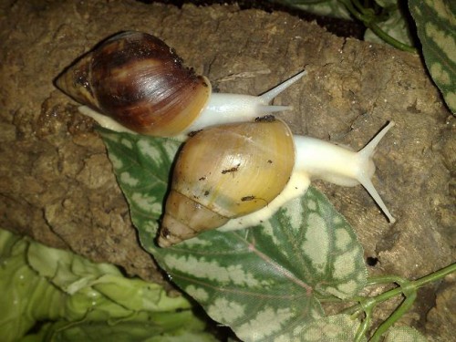 08092012655 - Kopie (2).jpg