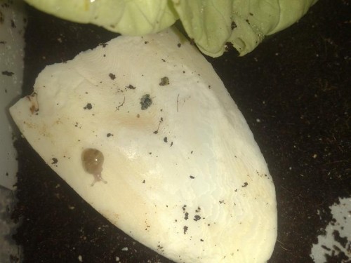 21092012783 - Kopie.jpg