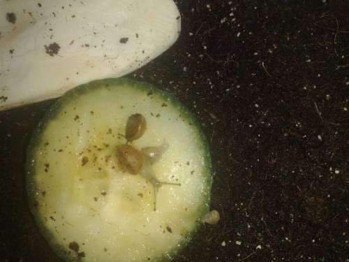 22092012797 - Kopie.jpg