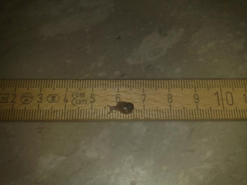 25092012809 - Kopie.jpg