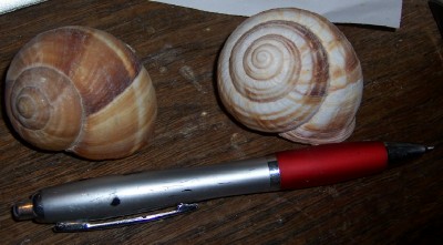 100_9660.jpg