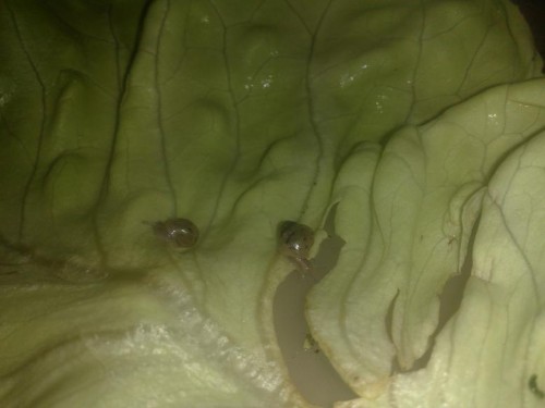 30092012837 - Kopie.jpg