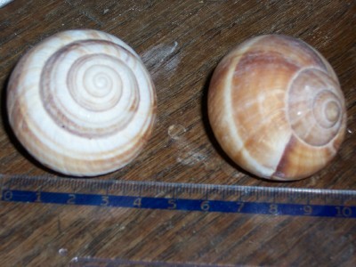100_9664.jpg